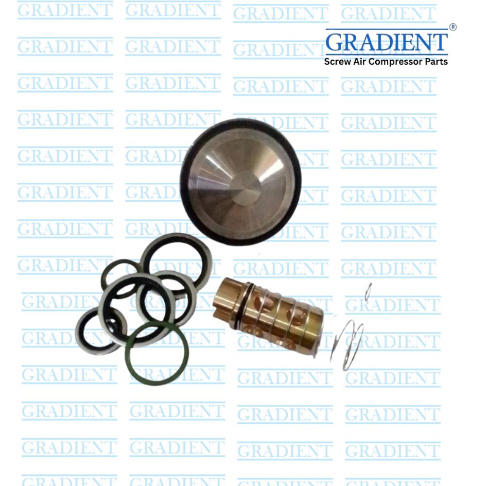 Oil Stop Check Valve Kit 2901021704